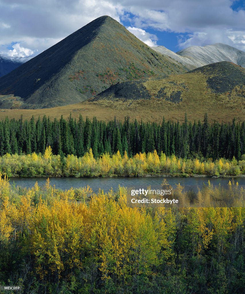 Lake surrounded by forest, mountains in background