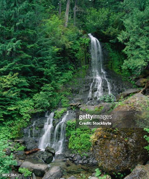 waterfall cascading down hill in forest - plant condition stockfoto's en -beelden