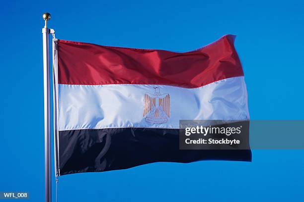 flag of egypt - egypt flag stock pictures, royalty-free photos & images