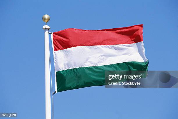 flag of hungary - oost europese cultuur stockfoto's en -beelden
