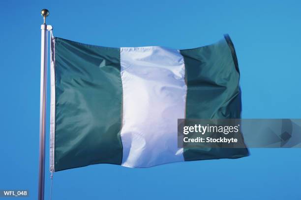 flag of nigeria - nigerian flag stock pictures, royalty-free photos & images