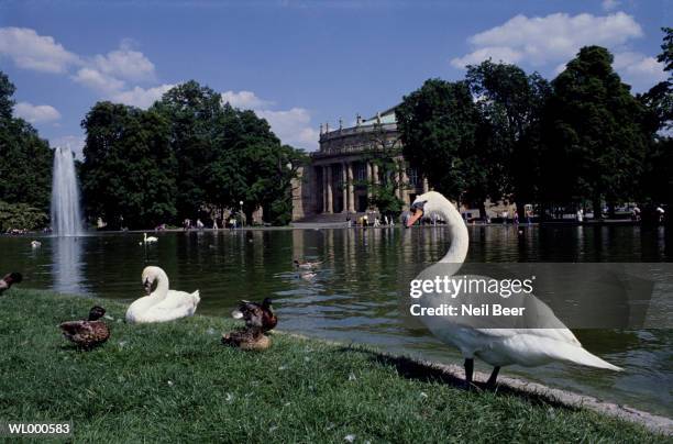 state opera house in stuttgart - para state fotografías e imágenes de stock