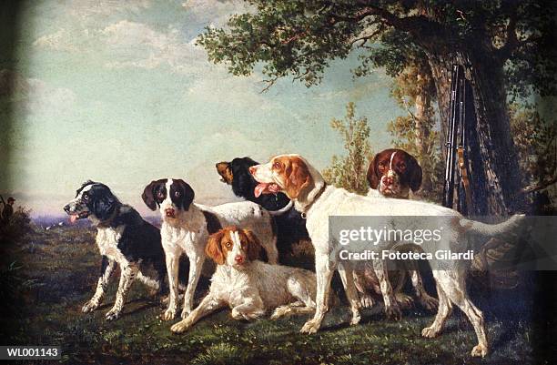 pack of hounds at rest - animal sport stock illustrations