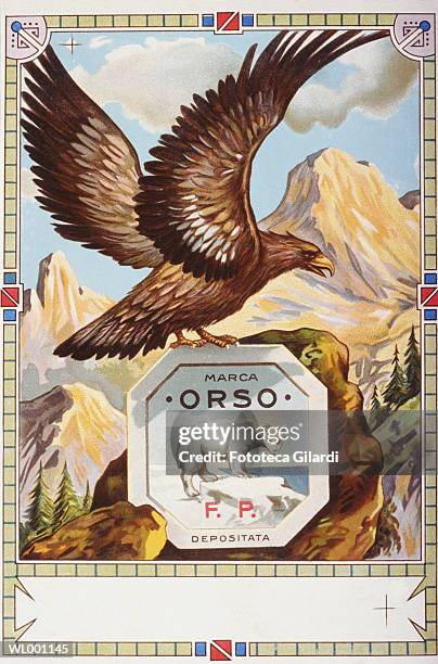 marca orso - gilardi stock illustrations