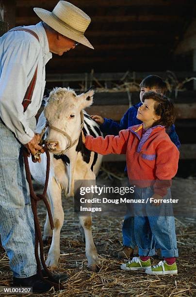 children with calf - wonder moments songs in the key of life performance tour philadelphia pennsylvania stockfoto's en -beelden