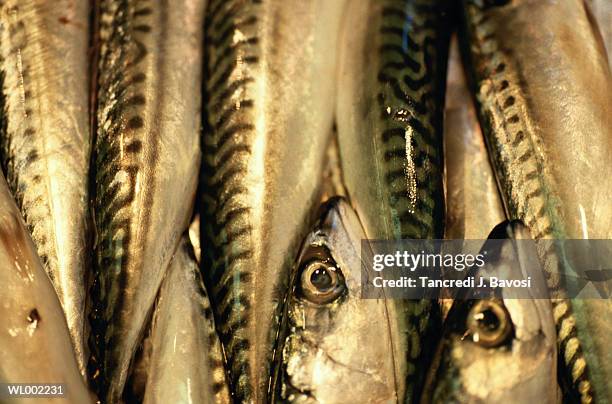 sardines - thousands of british and irish students descend on spanish town for saloufest stockfoto's en -beelden