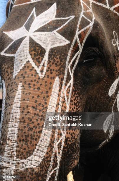 painted elephant - stars of formula one and music make a noise at abbey road studios to help children locked away in orphanages stockfoto's en -beelden