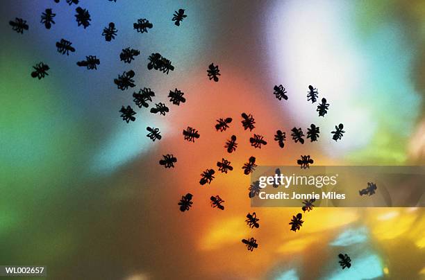 plastic ants - hymenopteran insect stock pictures, royalty-free photos & images