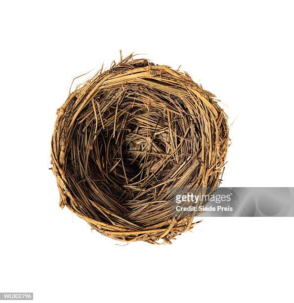 nest - preis stock pictures, royalty-free photos & images