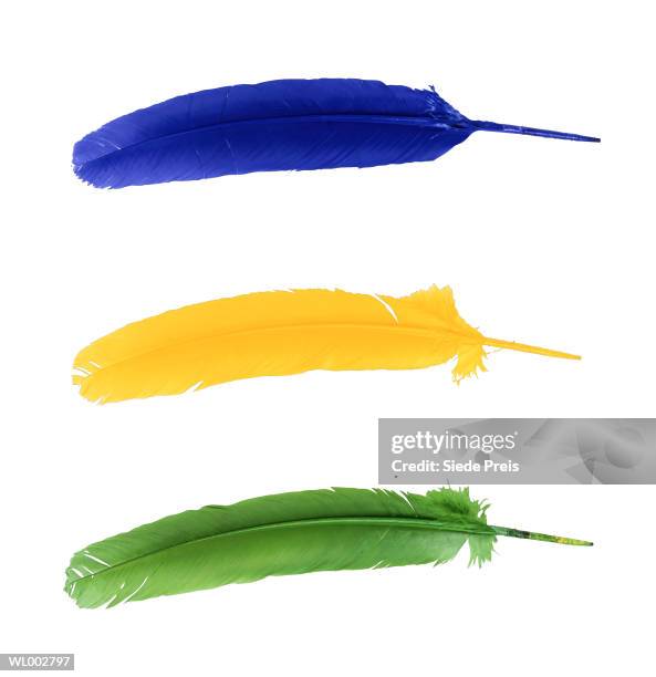 dyed turkey feathers - preis stock pictures, royalty-free photos & images