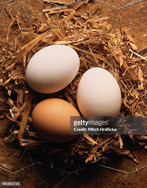 brown and white eggs on hay - hay fotografías e imágenes de stock