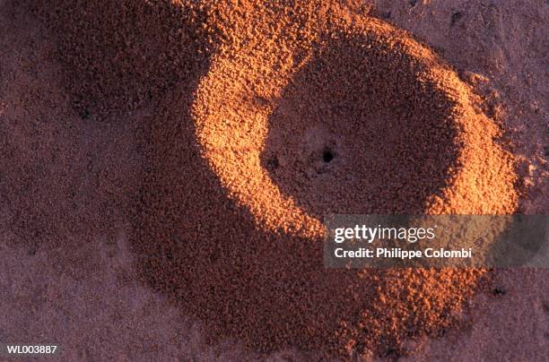 Ant Hole, Foto de stock