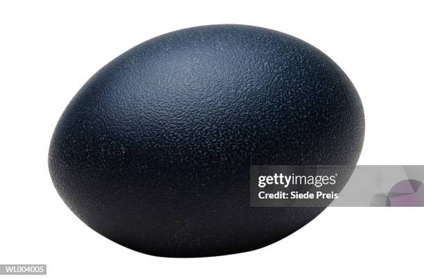 emu egg - flightless bird stock-fotos und bilder