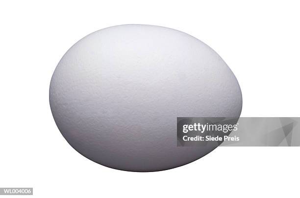 chicken egg - animal stage stock pictures, royalty-free photos & images