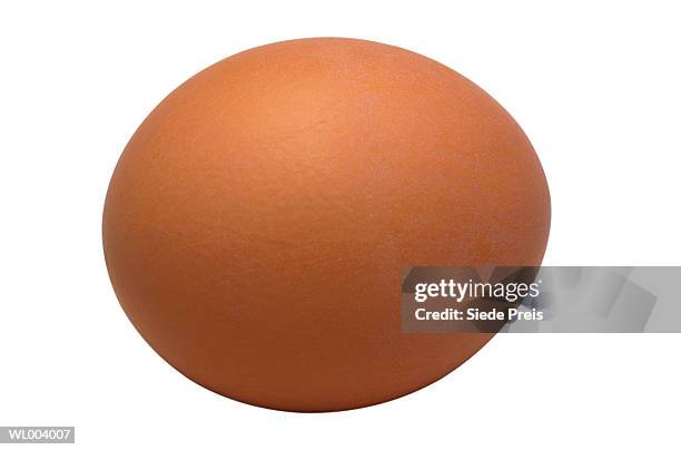 brown chicken egg - preis stockfoto's en -beelden