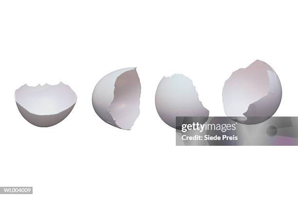 broken eggshells - preis foto e immagini stock