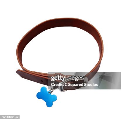 Dog Collar Dog Collar