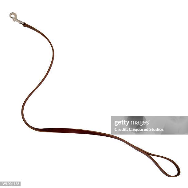 dog leash - cast of a c o d entertainment weekly january 24 2013 stockfoto's en -beelden