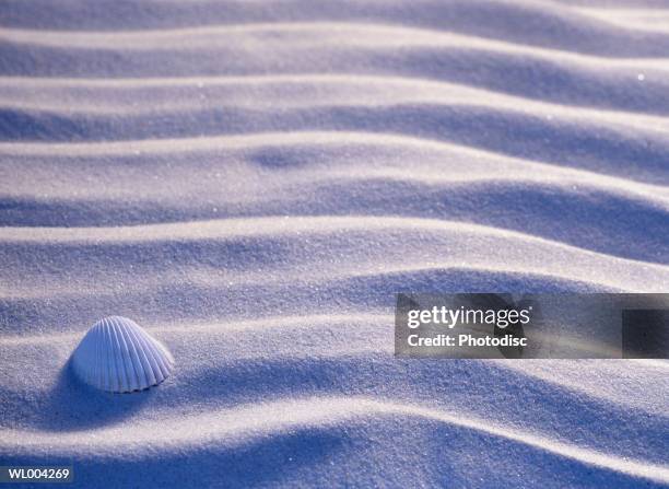 Photodisc Photos and Premium High Res Pictures - Getty Images