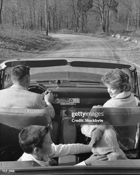 family driving in convertible along country road - zoogdieren met klauwen stockfoto's en -beelden