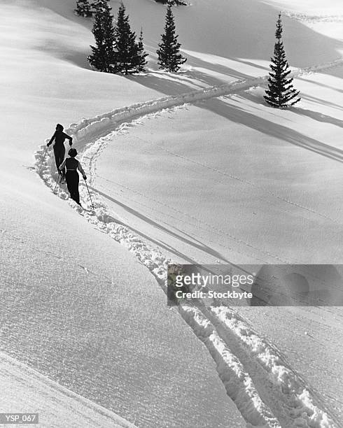 couple cross-country skiing - water form stock pictures, royalty-free photos & images