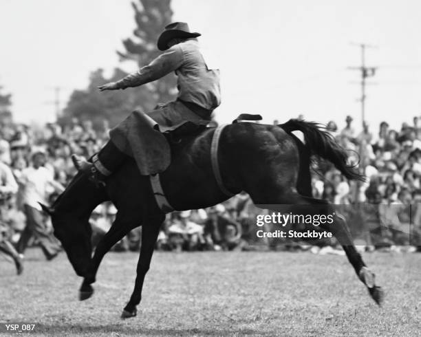 cowboy riding bucking horse - no racismo fotografías e imágenes de stock