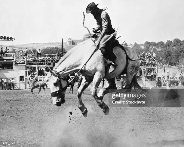 man riding bucking horse in rodeo - no telefone foto e immagini stock