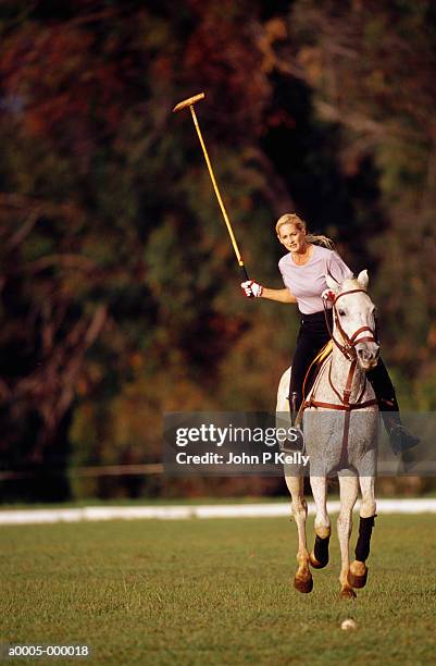 woman practising polo - polo horse stock-fotos und bilder
