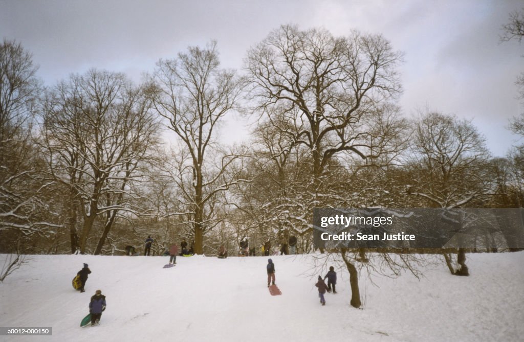 People Sledding on Hill