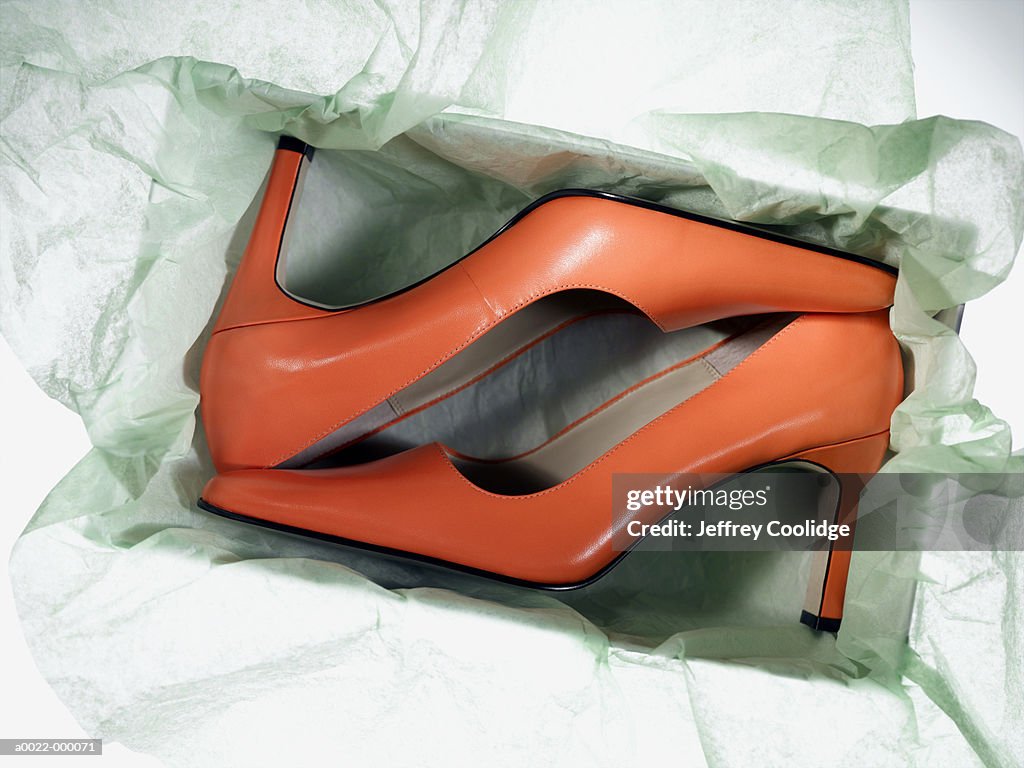 New High Heeled Shoes in Box