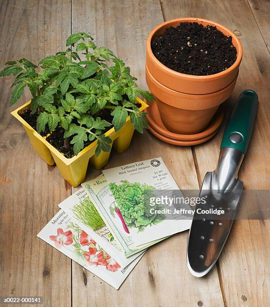 gardening still life - seed packet stock pictures, royalty-free photos & images