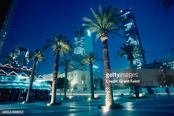 usa, california, los angeles, civic center, palms in square, night - civic buildings stock pictures, royalty-free photos & images