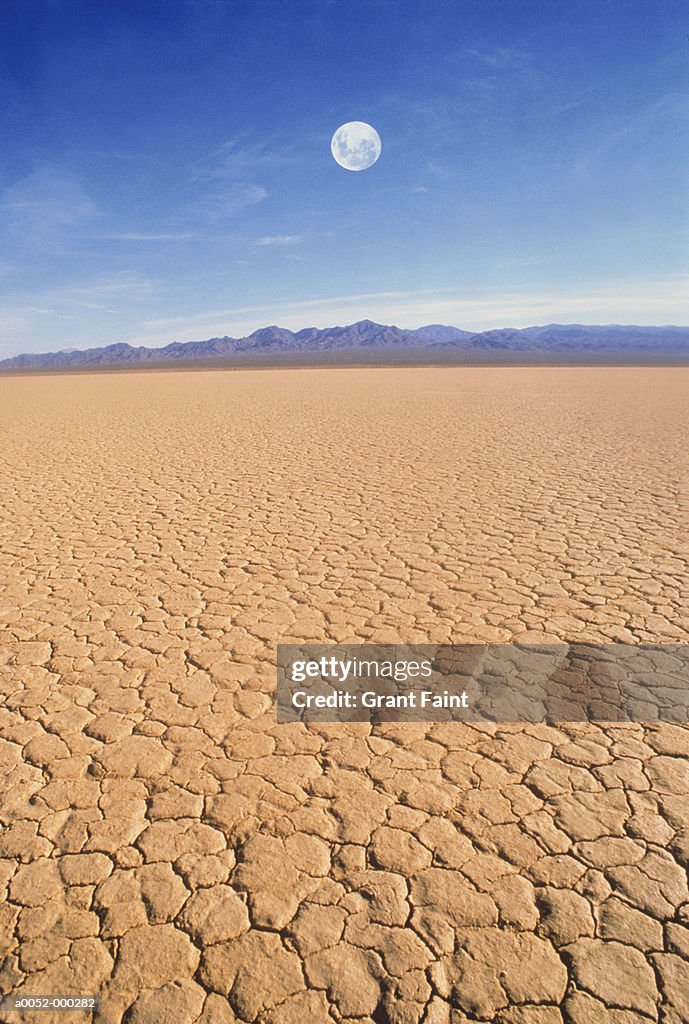 Cracks in Dry Earth