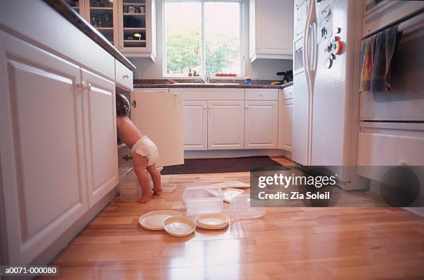 baby looks in kitchen cupboard - mischief stock pictures, royalty-free photos & images