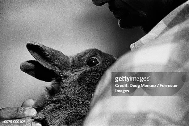 man holding rabbit - hairy back man stock pictures, royalty-free photos & images