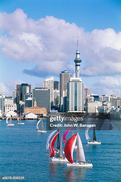 auckland harbor - auckland stock-fotos und bilder