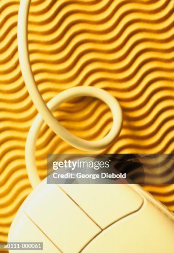 Computer Mouse Computer Mouse