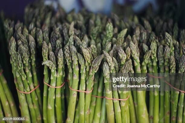 asparagus - spargel stock-fotos und bilder