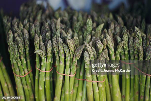 asparagus - asparagus stock pictures, royalty-free photos & images
