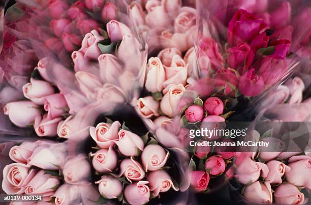 bunches of pink roses - blumenbouqet stock-fotos und bilder