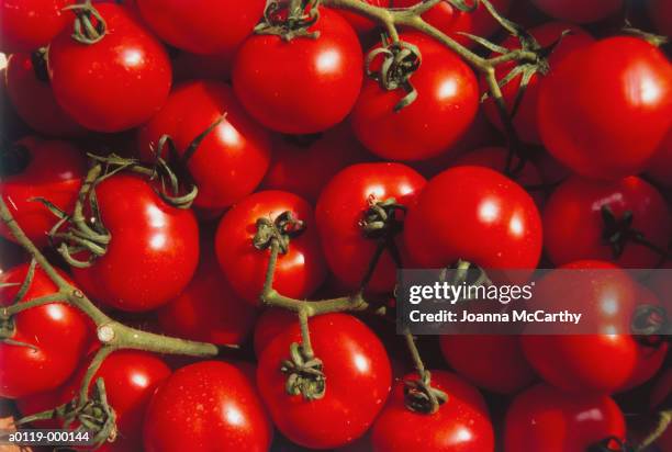 ripe tomatoes - tomato stockfoto's en -beelden