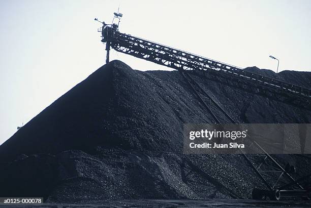 pile of mineral coal - coal ストックフォトと画像