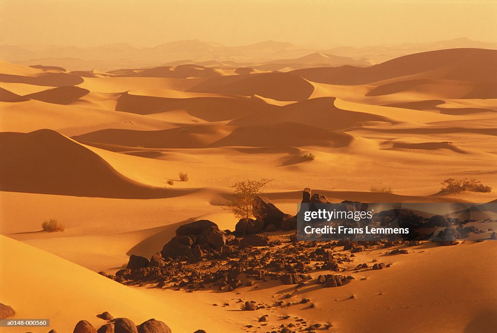 Sand Dunes