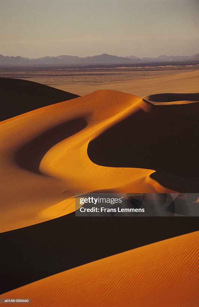 Sand Dunes in Sahara Desert
