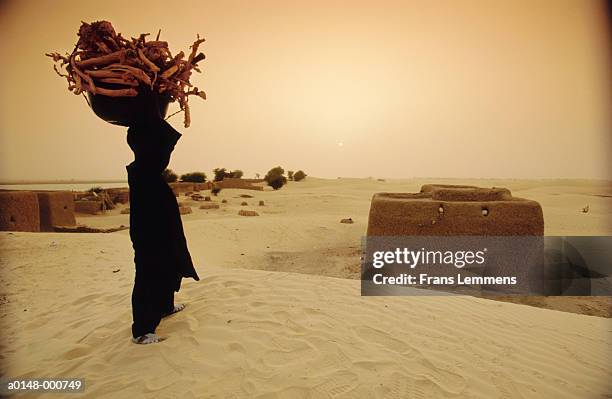 man carrying firewood - songhai stock pictures, royalty-free photos & images