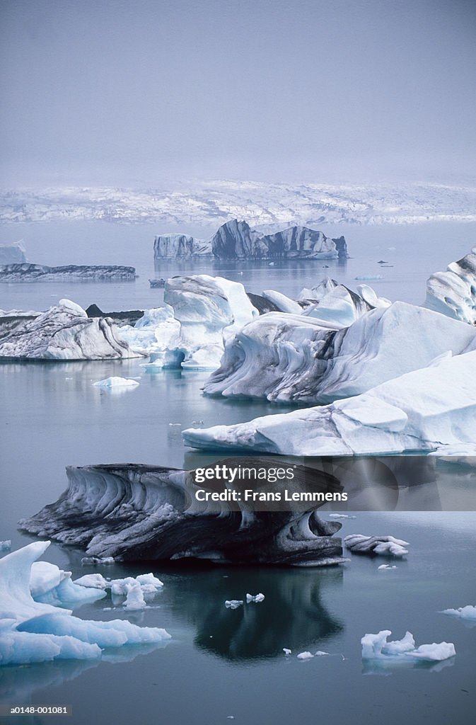 Icebergs Floating in Lake