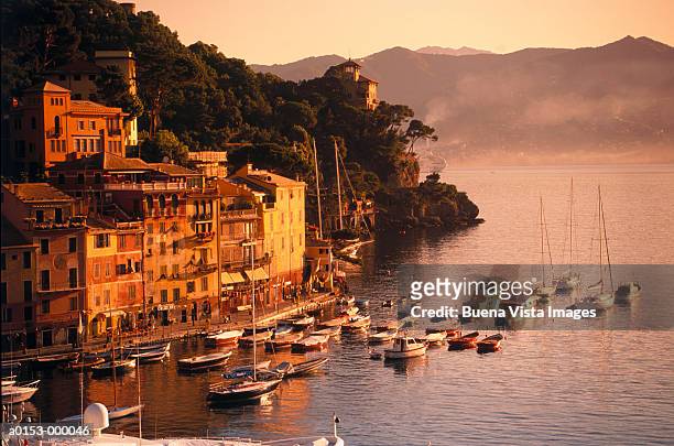 yachts at sunset - portofino stock pictures, royalty-free photos & images