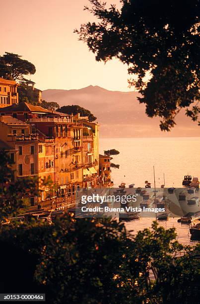 yachts at sunset - portofino stock pictures, royalty-free photos & images