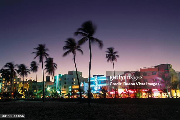 ocean drive at night - palm tree stock pictures, royalty-free photos & images