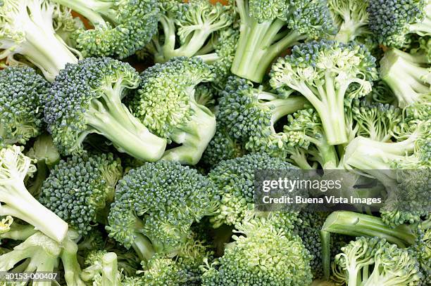 broccoli - broccoli stock-fotos und bilder